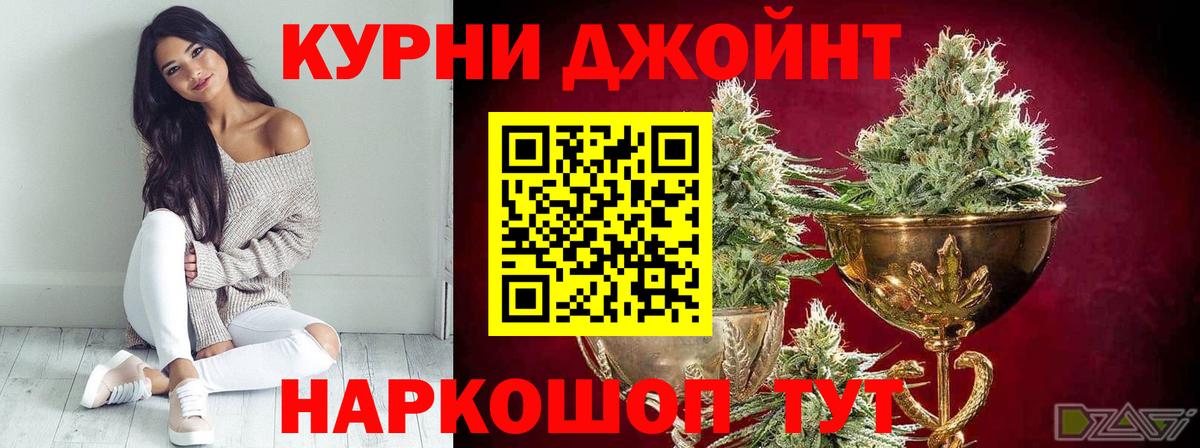 Бошки Шишки гибрид Ялта